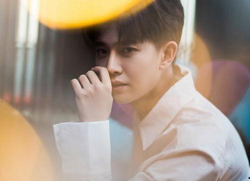 任嘉伦爆料完整视频,独家幕后花絮大公开