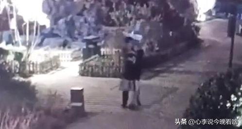 方山吃瓜最新事件爆料视频,最新爆料视频揭露惊人内幕